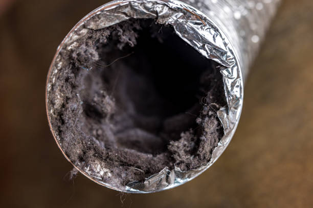 Best HVAC System Cleaning  in Shadeland, IN