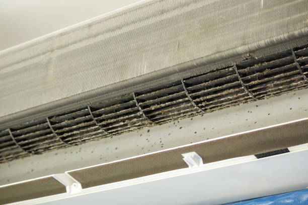 Best Ductwork Cleaning Services  in Shadeland, IN